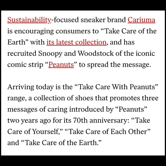 Cariuma Salvas Peanuts Leather Skater Sneakers - 9.5 US WMNS / 8 US MENS - Picture 14 of 15